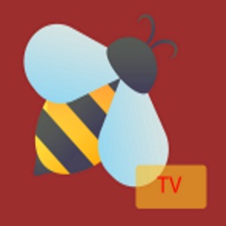 How to Install BeeTV on Android and Firestick